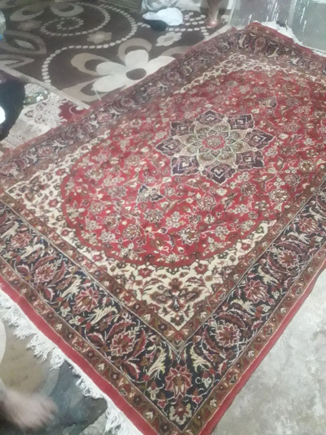 قالی6متری دست دوم عالی|فرش|سنندج, |دیوار