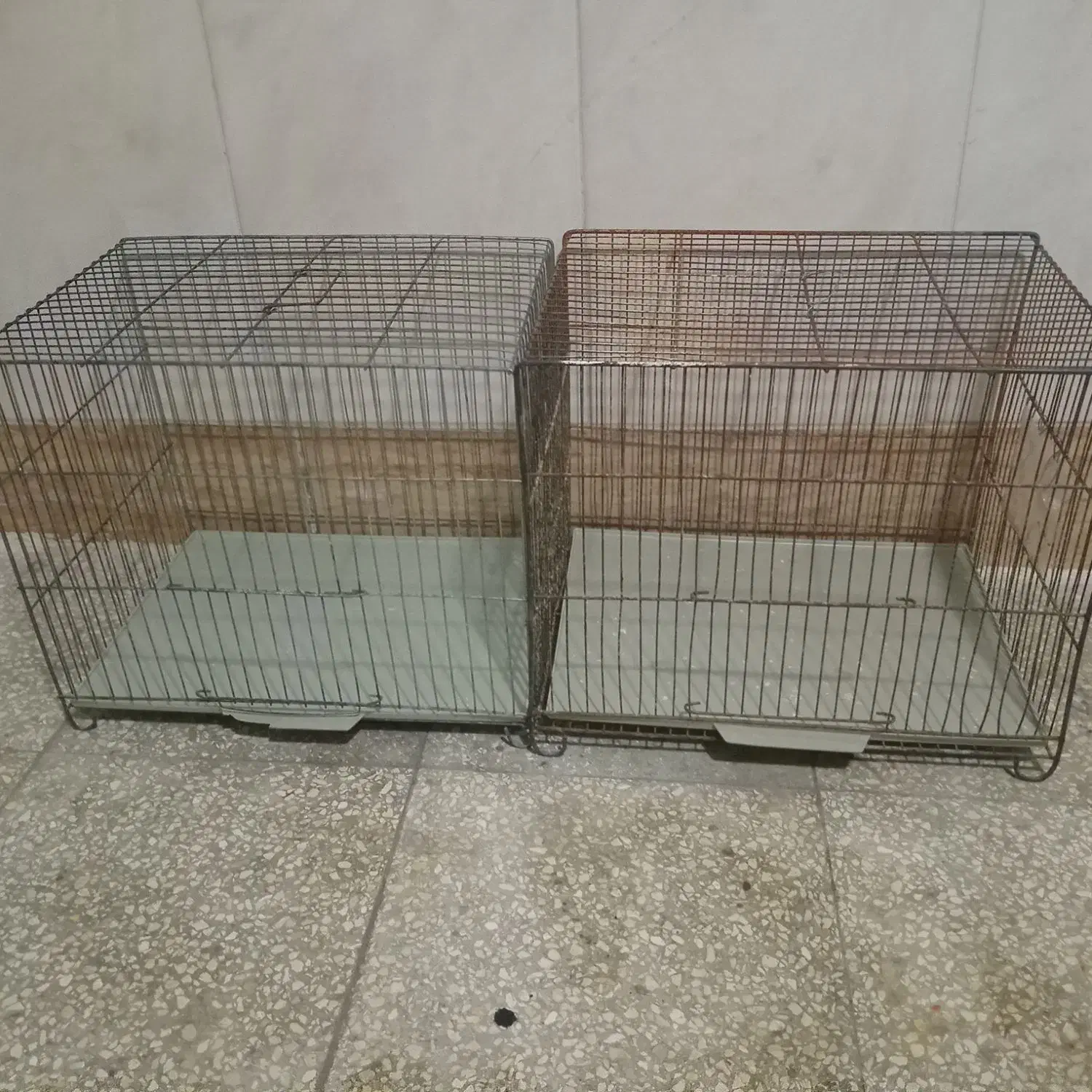 قفس|لوازم جانبی حیوانات|قم, حکمت شمالی|دیوار