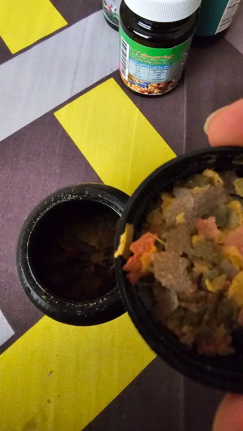 غذا با کیفیت ماهی آکواریوم|ماهی|بابل, |دیوار