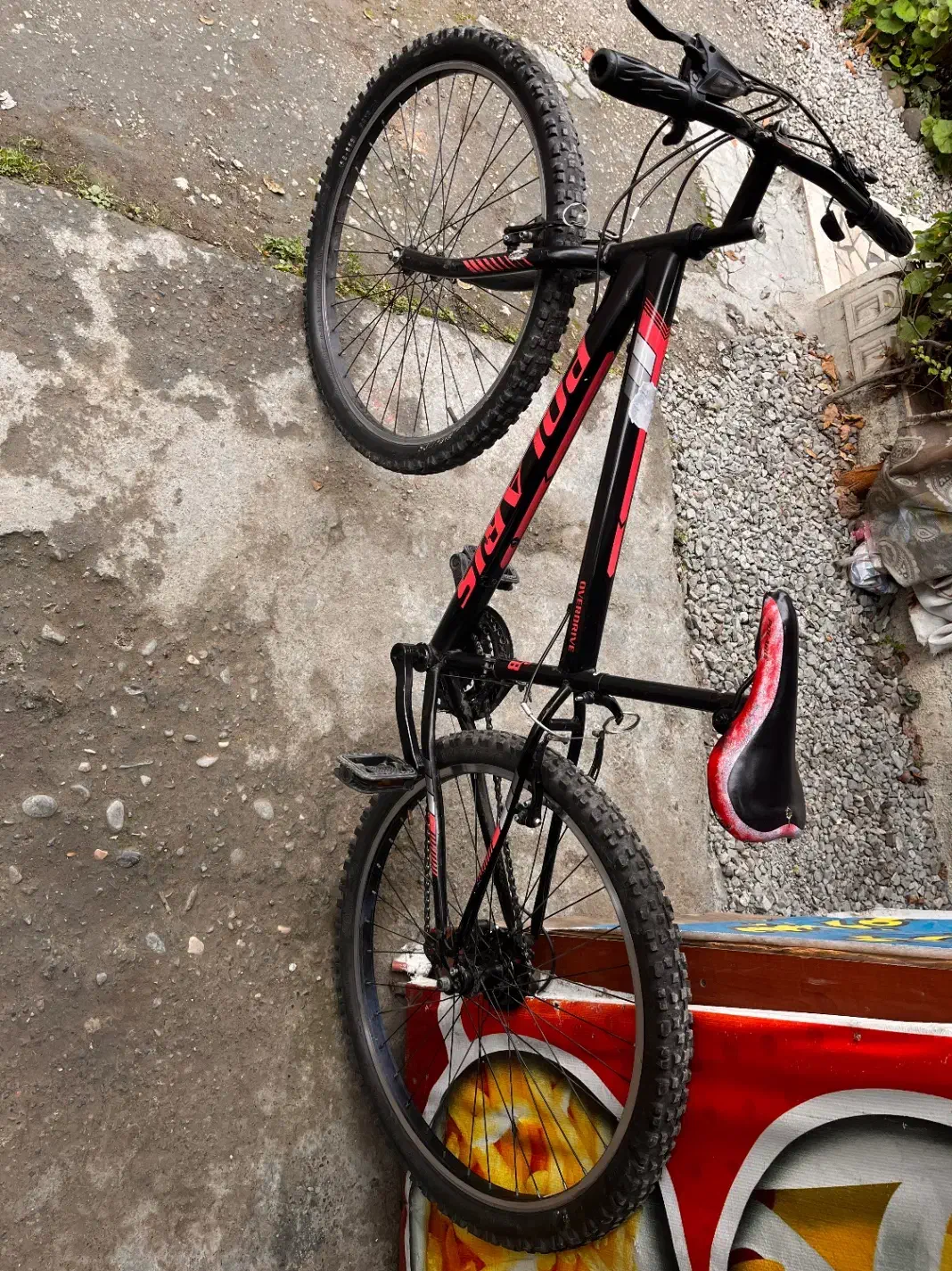 دوچرخه ۲۶|دوچرخه، اسکیت، اسکوتر|رامسر, |دیوار