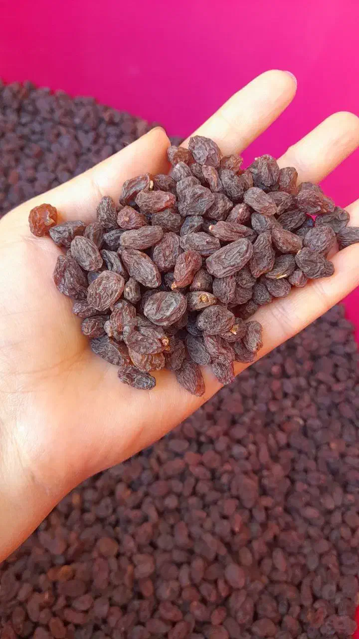 کشمش افتابی|خوردنی و آشامیدنی|قزوین, |دیوار