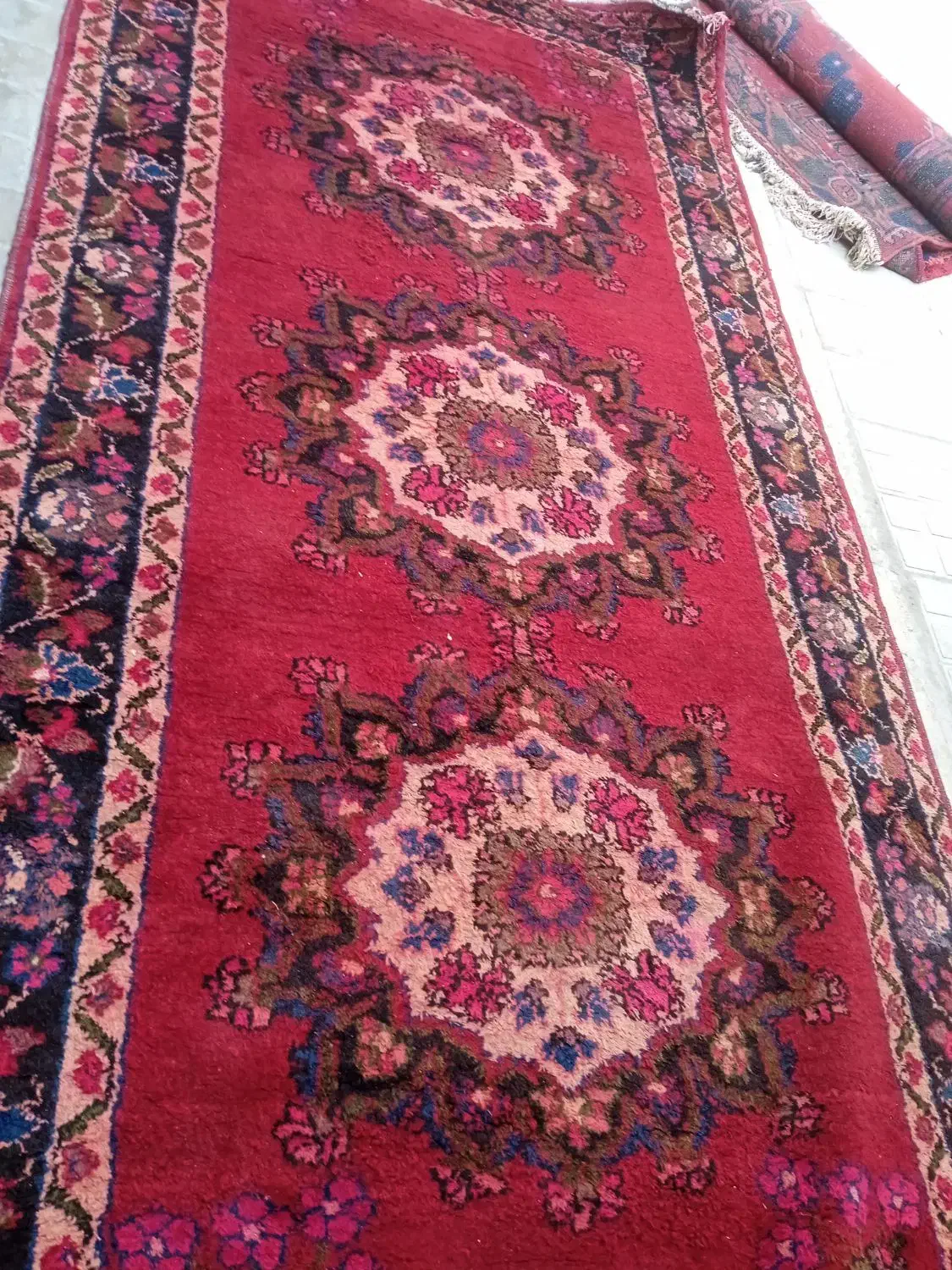 قالیچه دستباف بزرگ|فرش|تربتحیدریه, مظفریه|دیوار