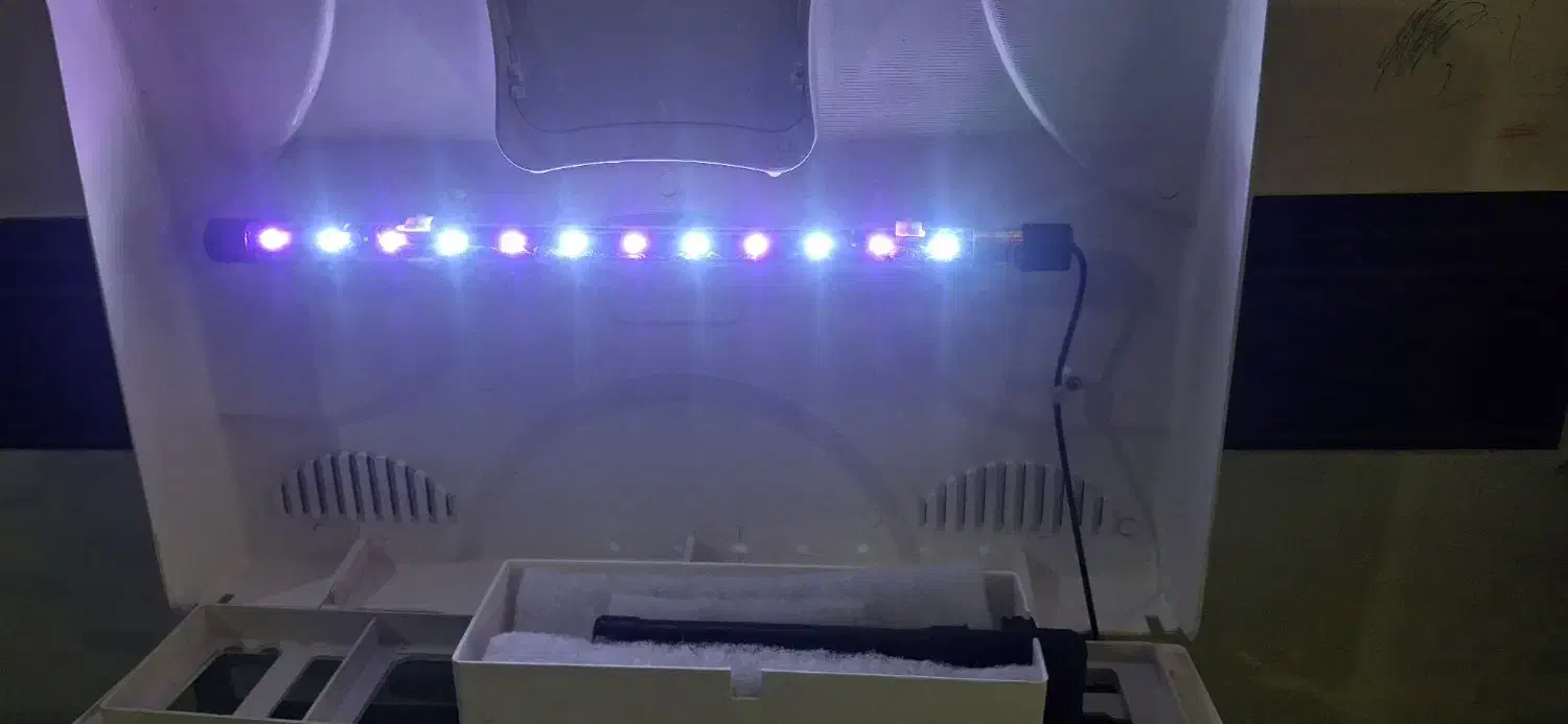 اکواریوم خانگی|ماهی|عنبرآباد, |دیوار