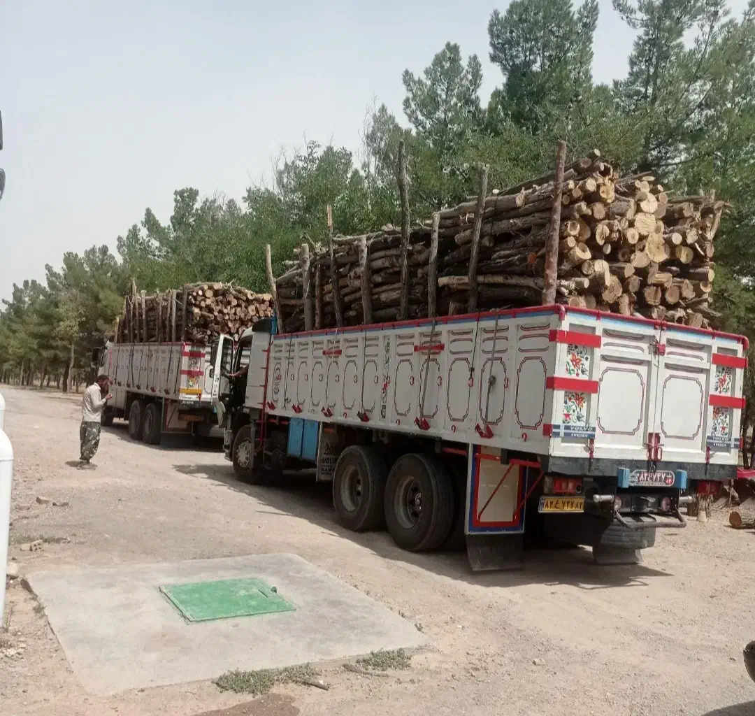 خرید انواع چوب کلی و جزئی به بالاترین قیمت|خدمات باغبانی و درختکاری|نیشابور, مازول|دیوار