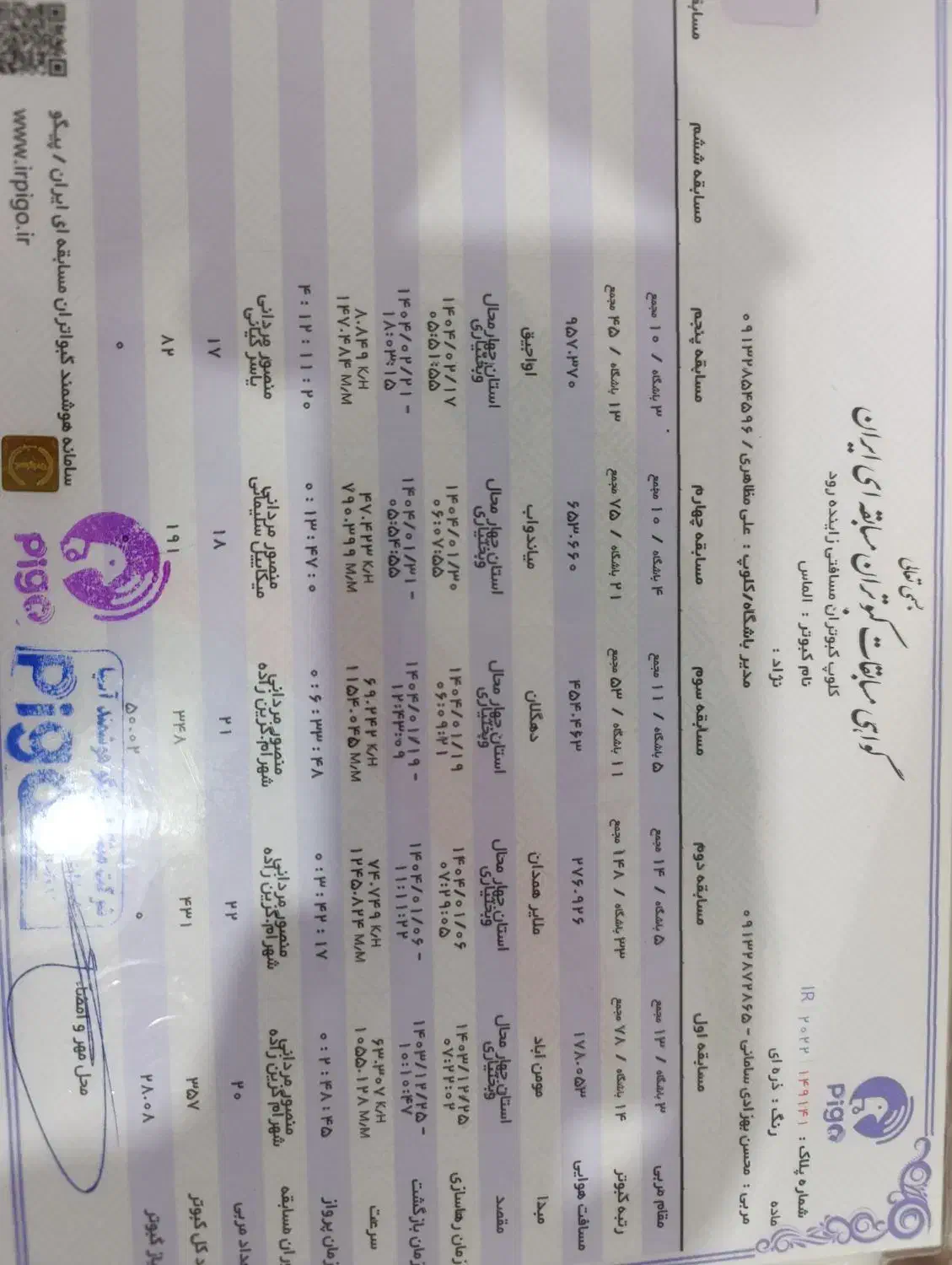 پلاکی|پرنده|سامان, |دیوار