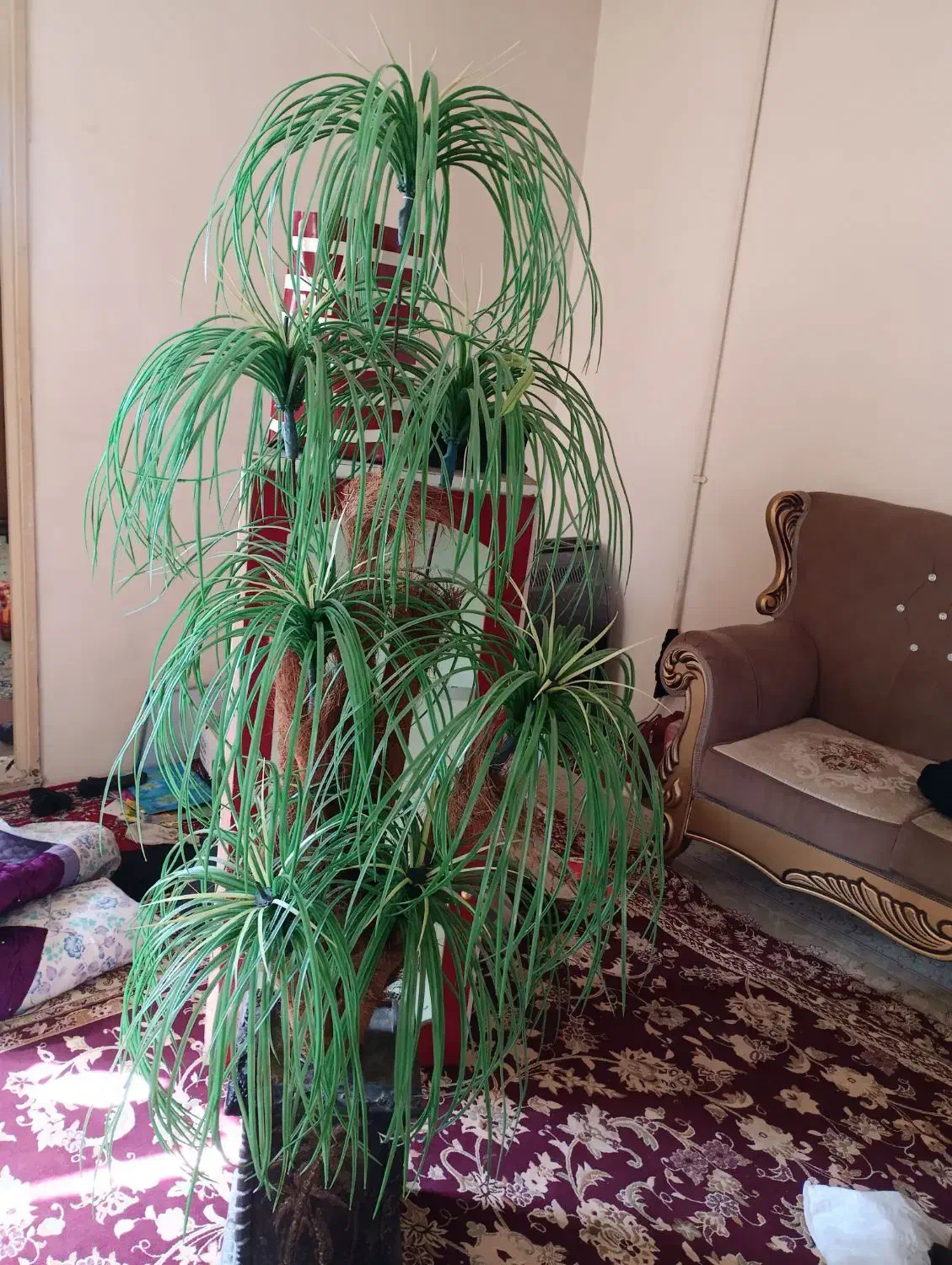 نخل|گل مصنوعی|تربتحیدریه, سرمحله|دیوار