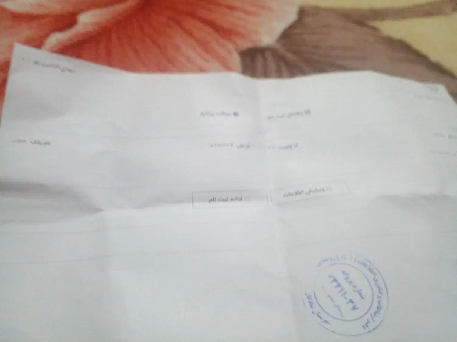 دو عدد غاز برای فروش|حیوانات مزرعه|شادگان, |دیوار