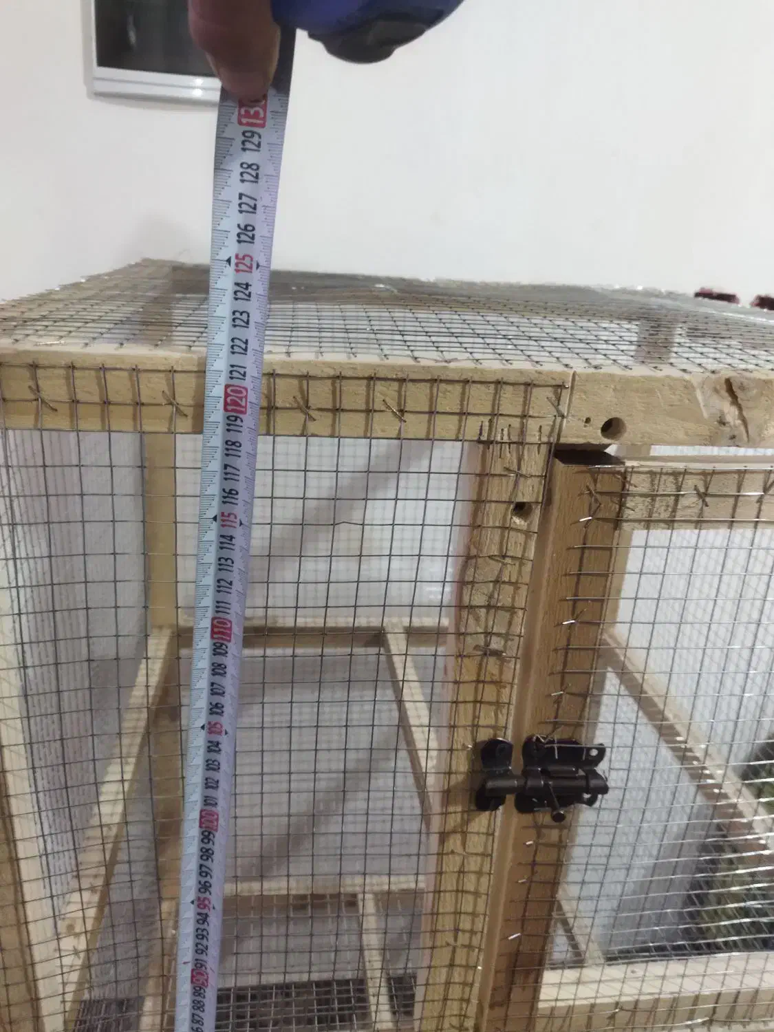 قفس|لوازم جانبی حیوانات|بم, |دیوار