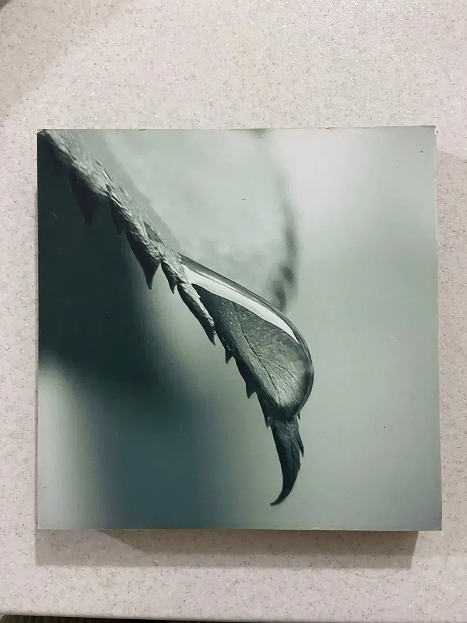 تابلو تزیینی چوبی|تابلو، نقاشی، عکس|یزد, |دیوار