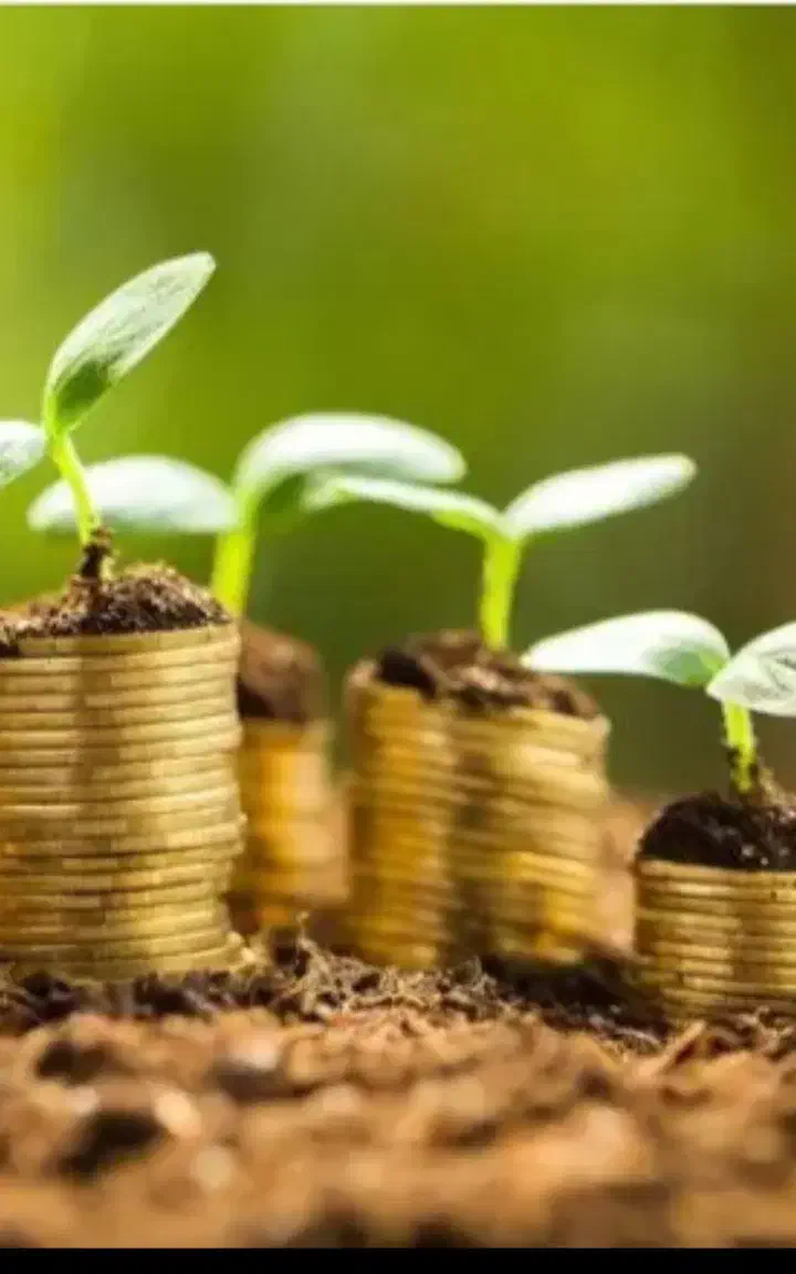 سرمایه گذار زمین|استخدام مالی، حسابداری، حقوقی|صدرا-فارس, فاز ۱|دیوار