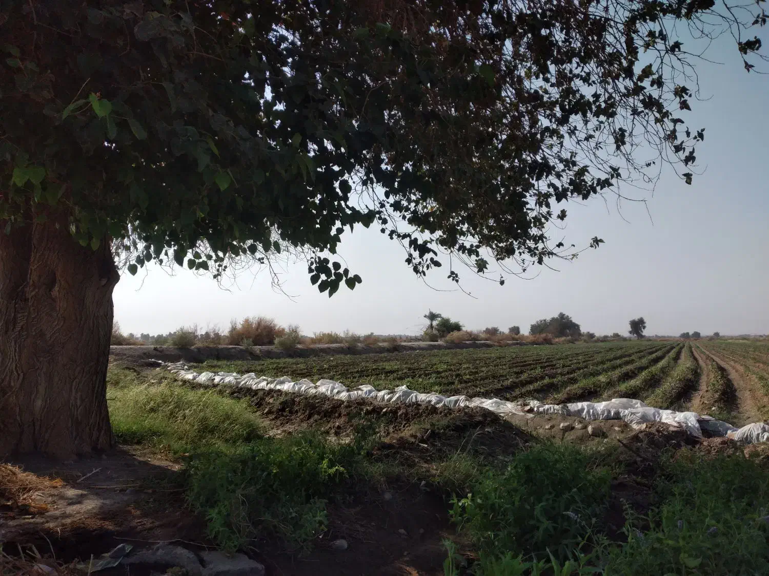 نقاشی ساختمان اسان و سریع و ارزان|خدمات پیشه و مهارت|جیرفت, |دیوار