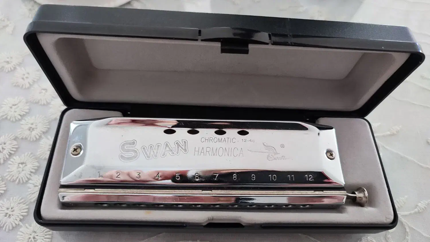 ساز دهنی حرفهای کروماتیک|سازهای بادی|بندر انزلی, انقلاب|دیوار