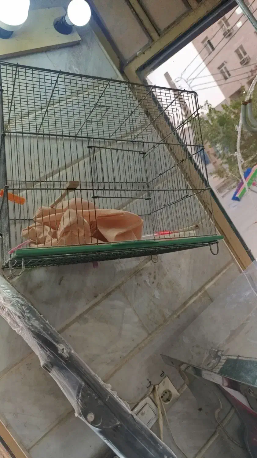 قفس|لوازم جانبی حیوانات|بندر امام خمینی, |دیوار