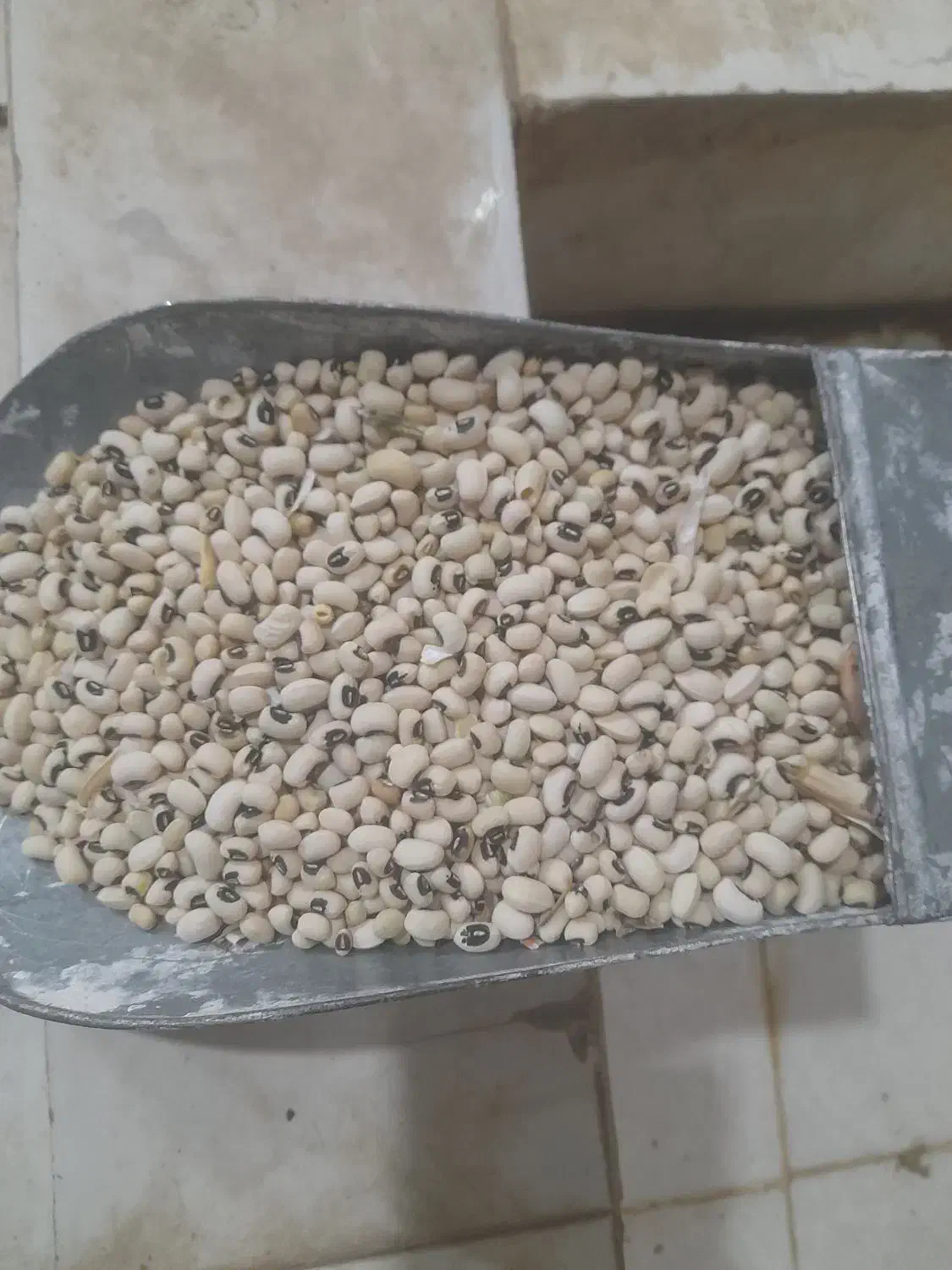 لوبیا چشم بلبلی کنجد لوبیا آش|خوردنی و آشامیدنی|دره شهر, |دیوار