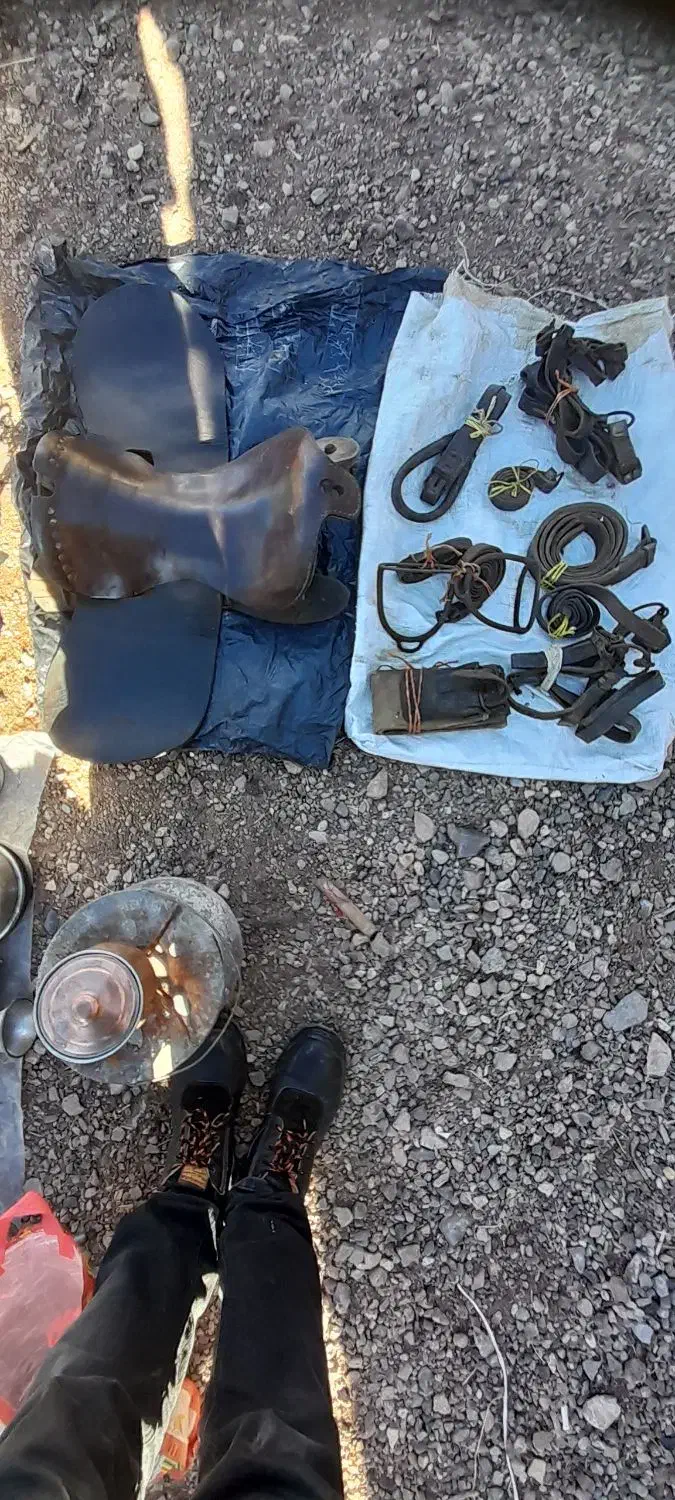 زین اسب|اسب و تجهیزات اسب‌سواری|هریس, |دیوار