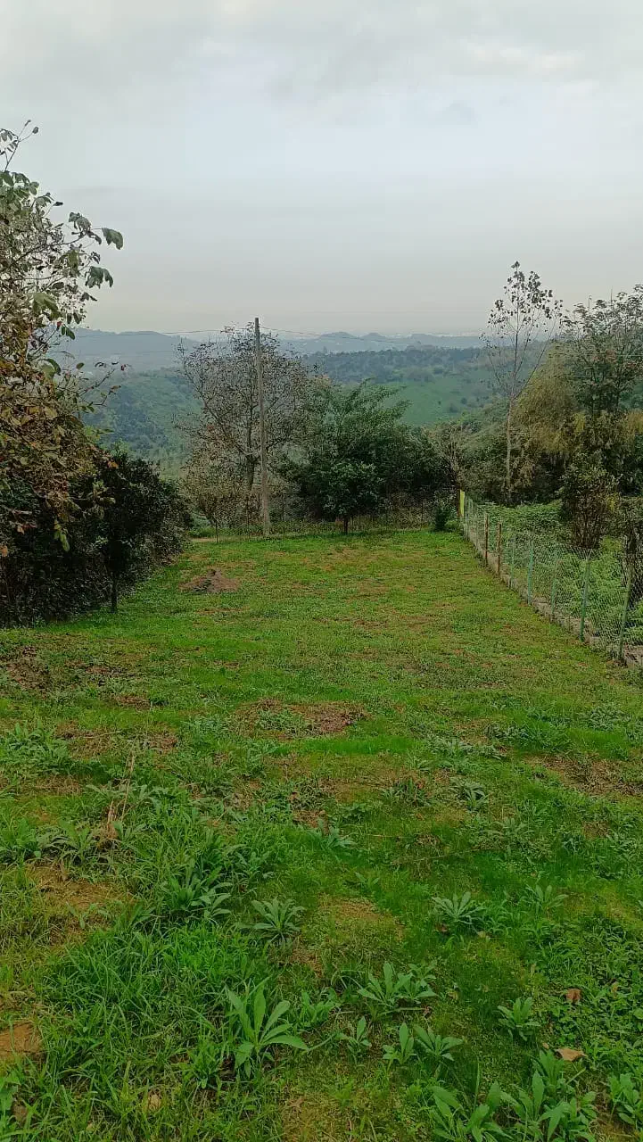 زمین با ویو ابدی|فروش زمین و ملک کلنگی|لنگرود, |دیوار