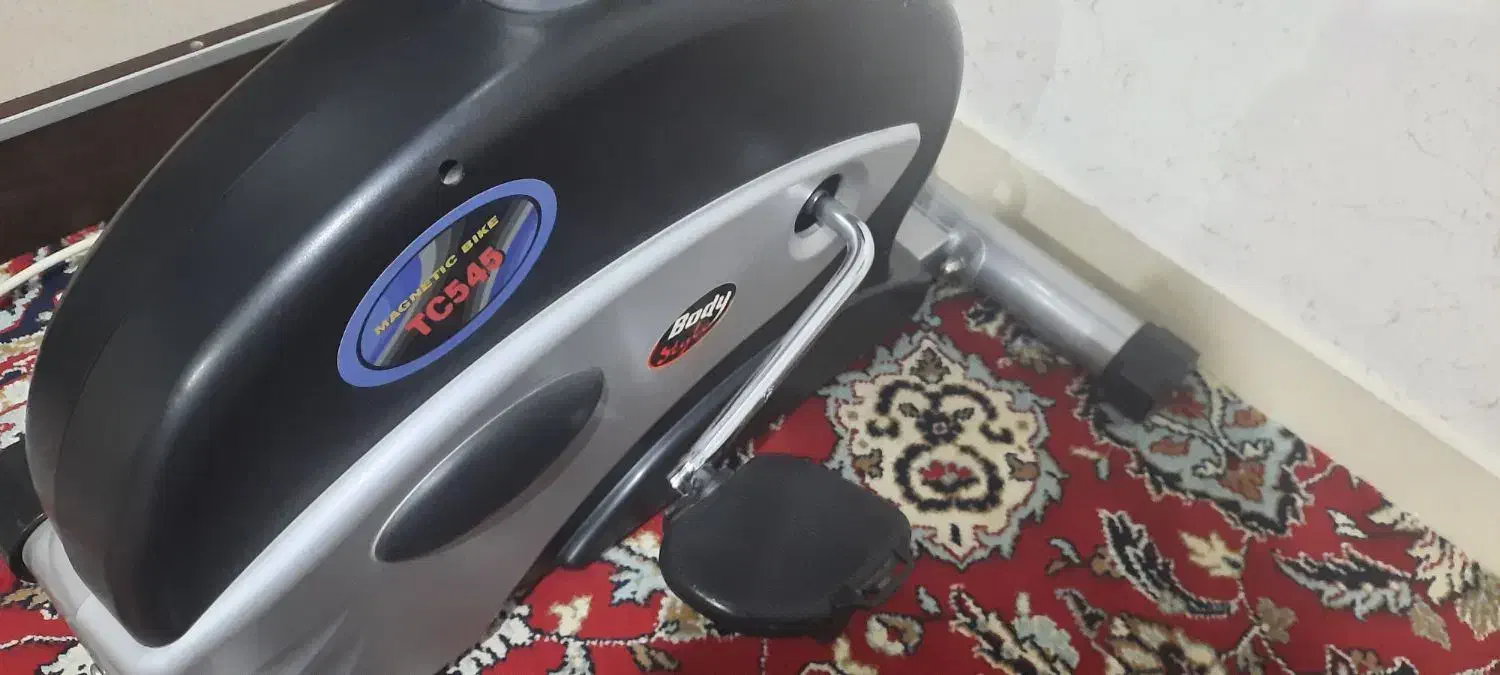 دوچرخه ثابت بادی اسکالپچر|تجهیزات ورزشی|پردیس, فاز ۲|دیوار