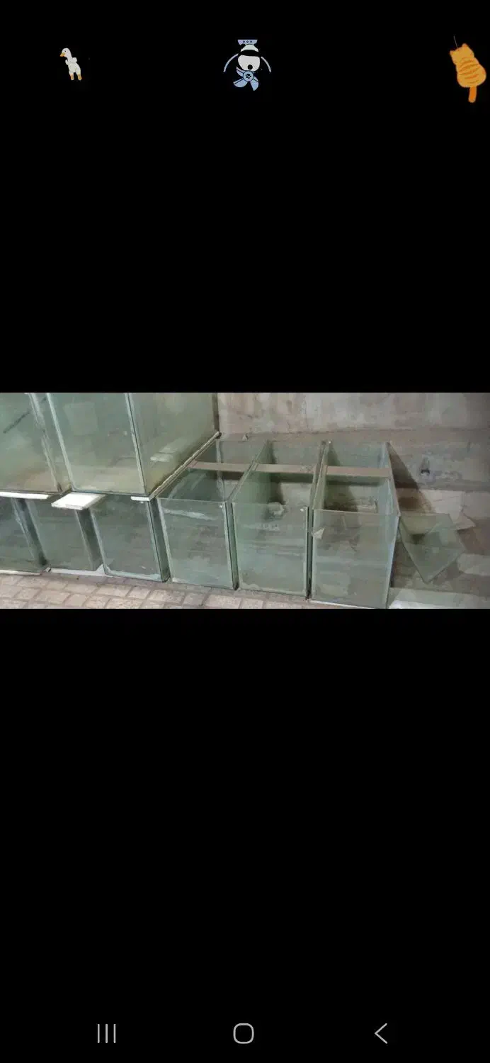 آکواریوم ۶ میل|ماهی|نیشابور, شهرک بهداری|دیوار