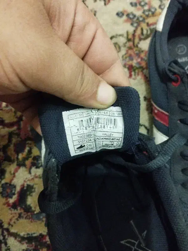 کتونی|کیف، کفش، کمربند|رودهن, |دیوار