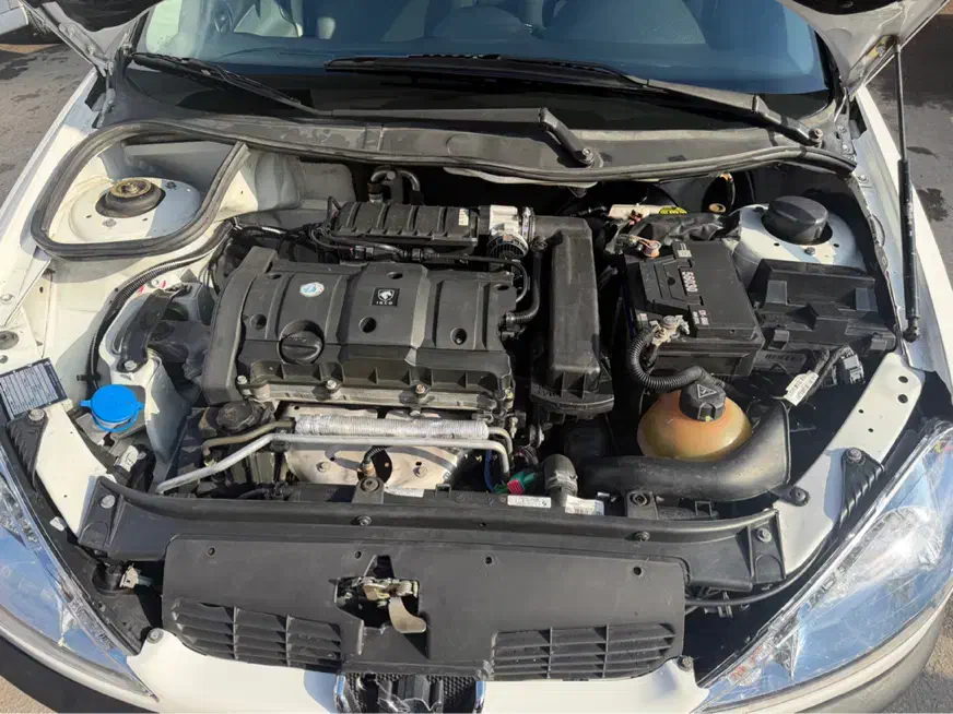 206 sd v8|خودرو سواری و وانت|شیراز, باغ تخت|دیوار