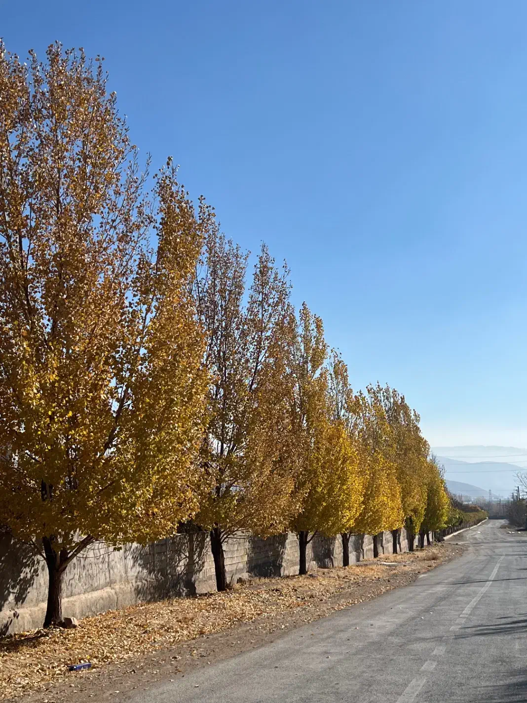 باغ ۱۰۰۰ متر در بهترین نقطه جابان دماوند باغستان|فروش زمین و ملک کلنگی|دماوند, دماوند|دیوار
