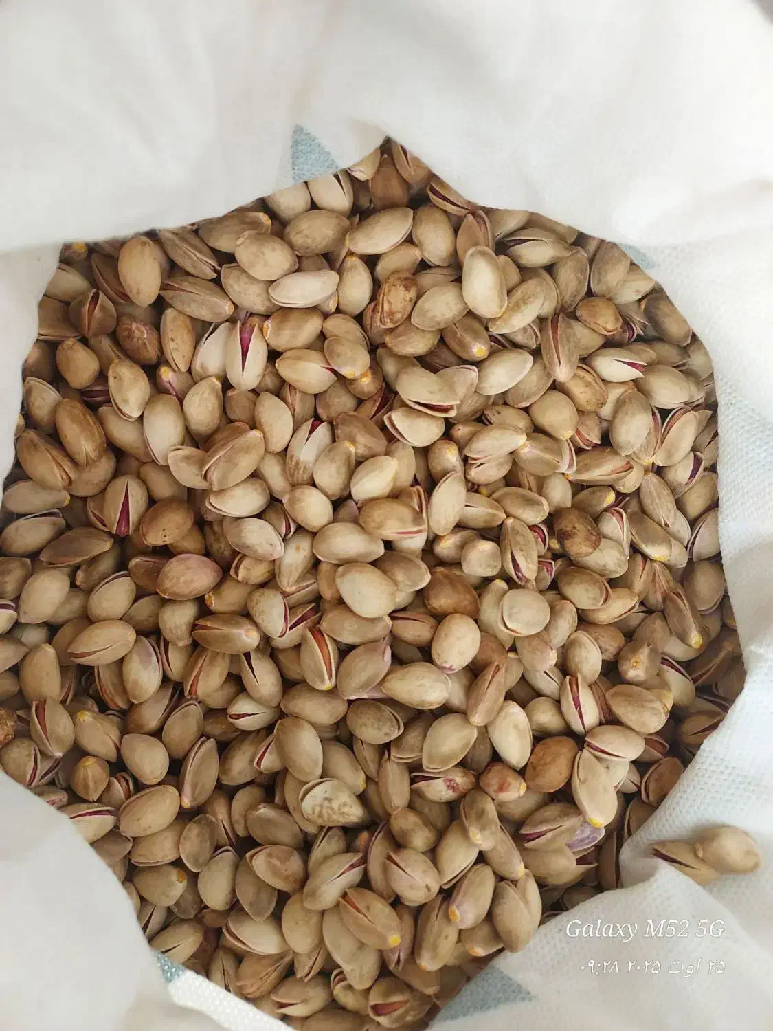 پسته کوهی|خوردنی و آشامیدنی|مشهد, سیس‌آباد|دیوار