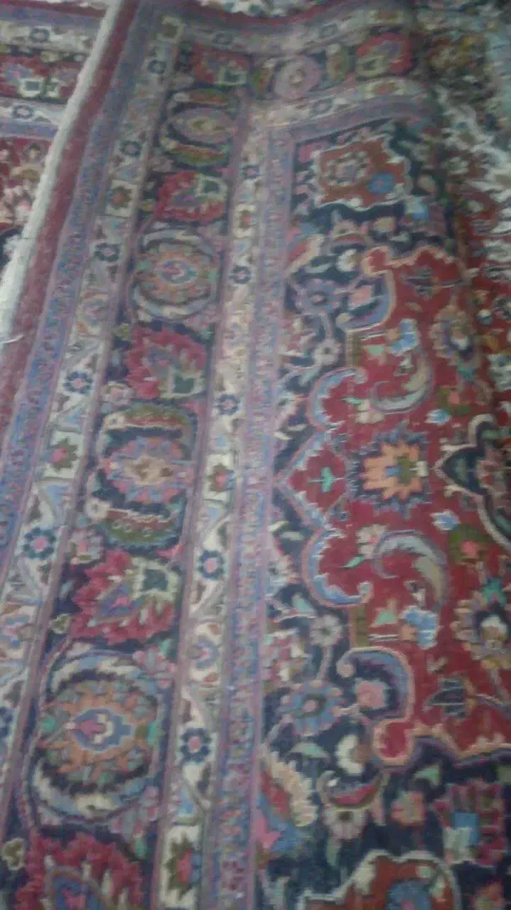 قالی دستی ۶ متری پشمی|فرش|مشهد, ادیب نیشابوری (شهرک غرب)|دیوار