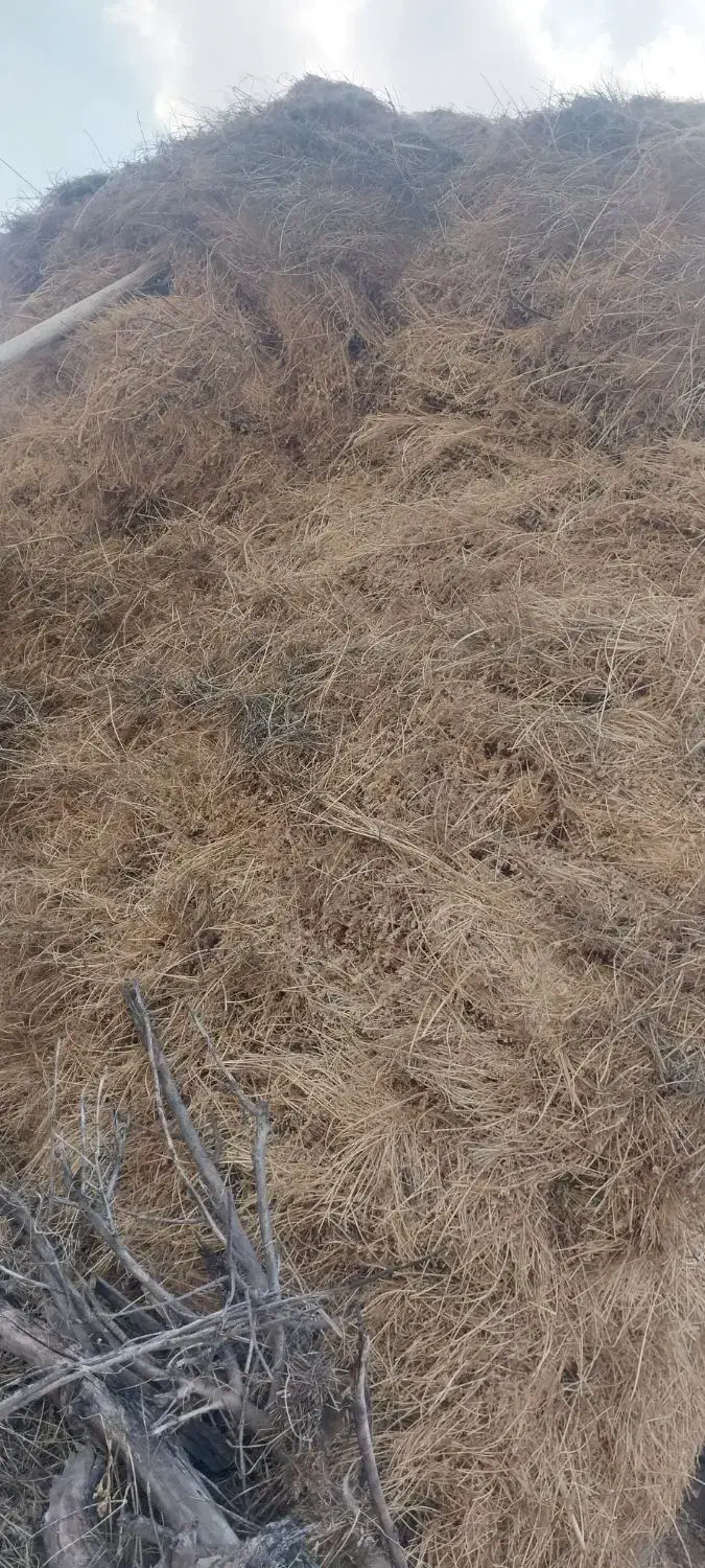 یونجه|لوازم جانبی حیوانات|مشگین شهر, |دیوار