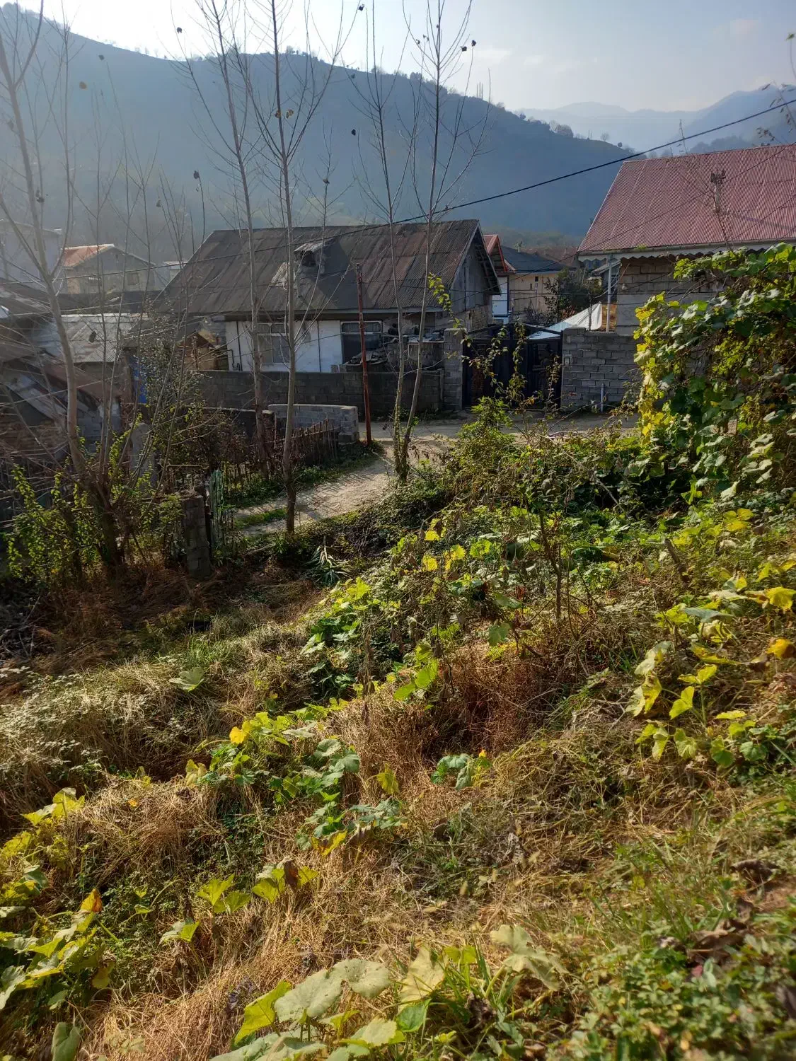 فروش زمین|فروش زمین و ملک کلنگی|اطاقور, |دیوار