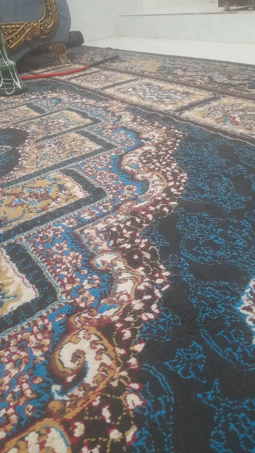 فرش|فرش|تربتحیدریه, حاجی یار|دیوار