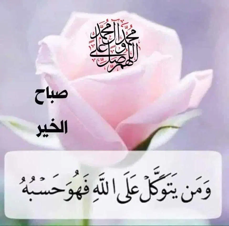 استخدام|استخدام بازاریابی و فروش|یزد, |دیوار