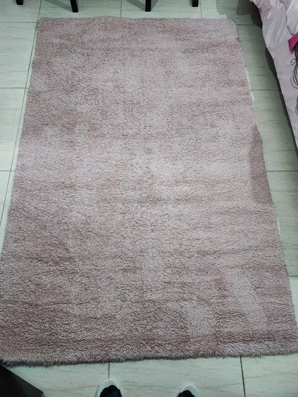 فرش|فرش|بندرعباس, |دیوار