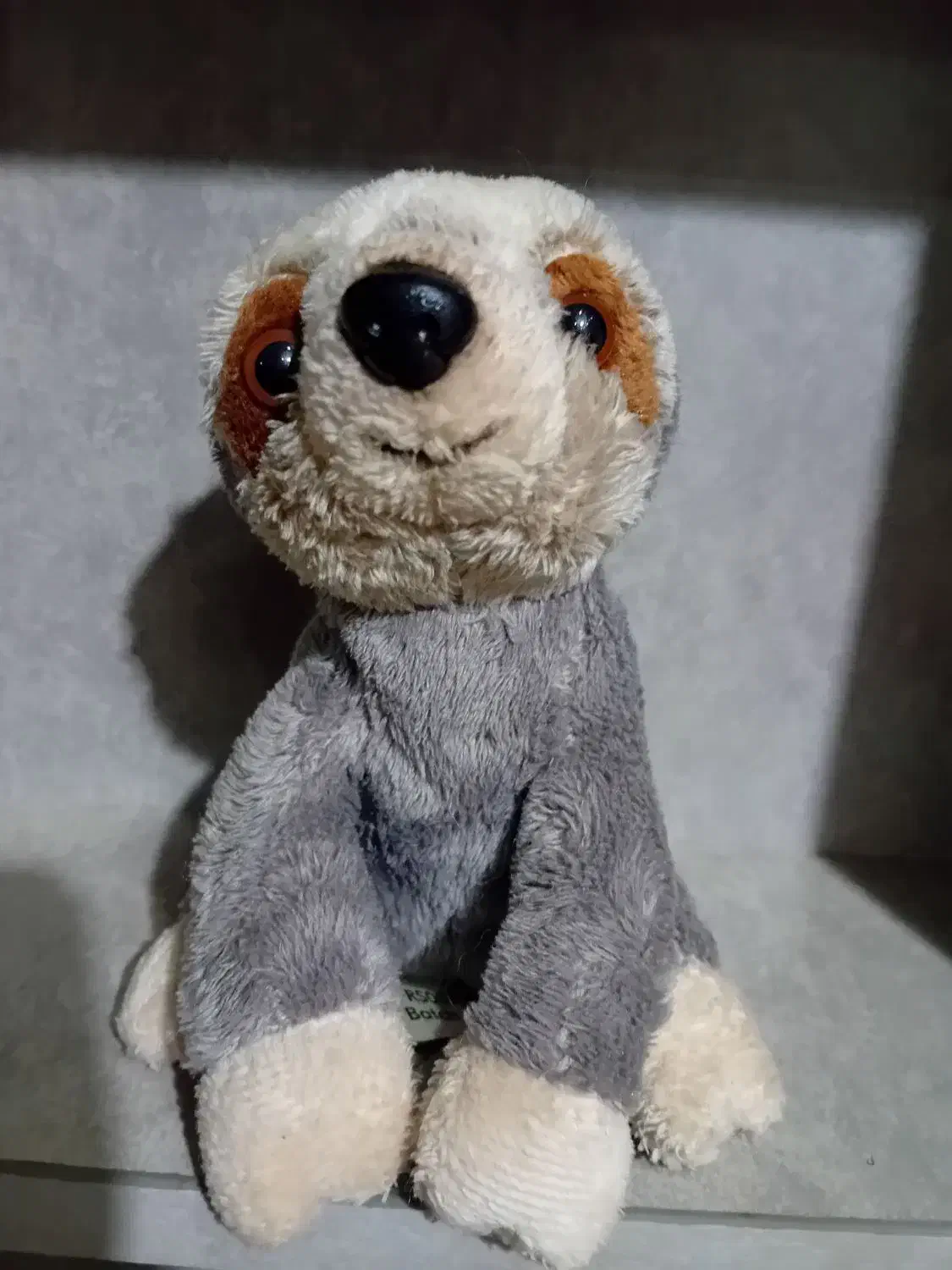 عروسک خارجی مخصوص کادو|اسباب‌‌بازی|رشت, کوی قدس|دیوار