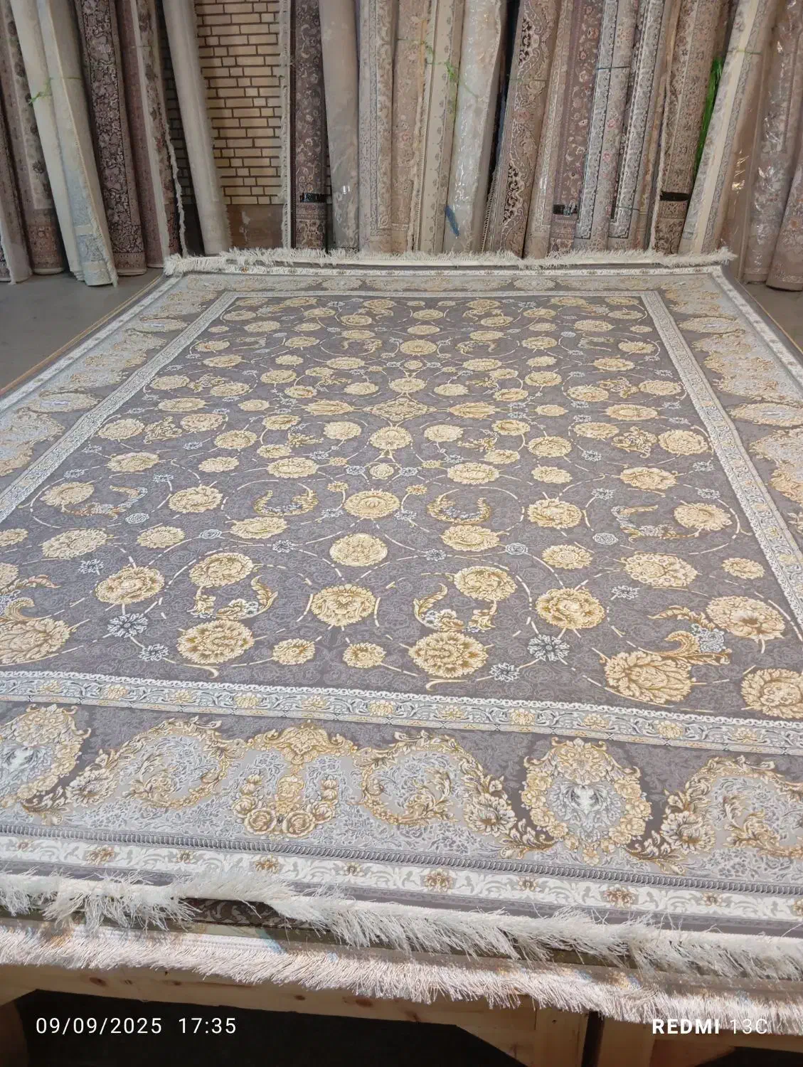 فرش12متری 12000شانه|فرش|دهدشت, |دیوار