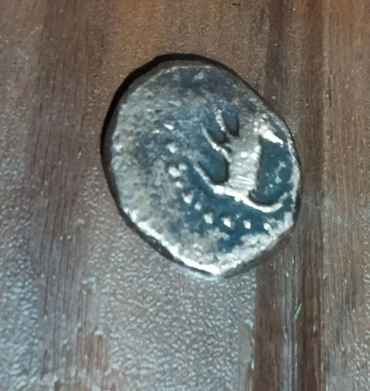 فورش سکه قدیمی مسی|کلکسیون اشیاء عتیقه|شاهرود, |دیوار