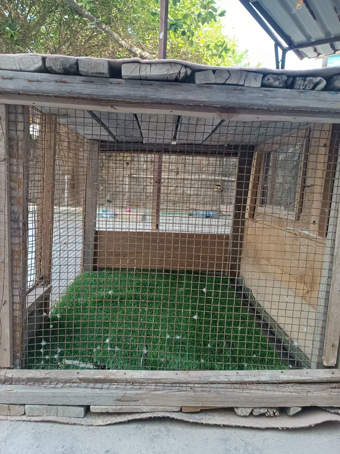 قفس چوپی|لوازم جانبی حیوانات|قشم, |دیوار