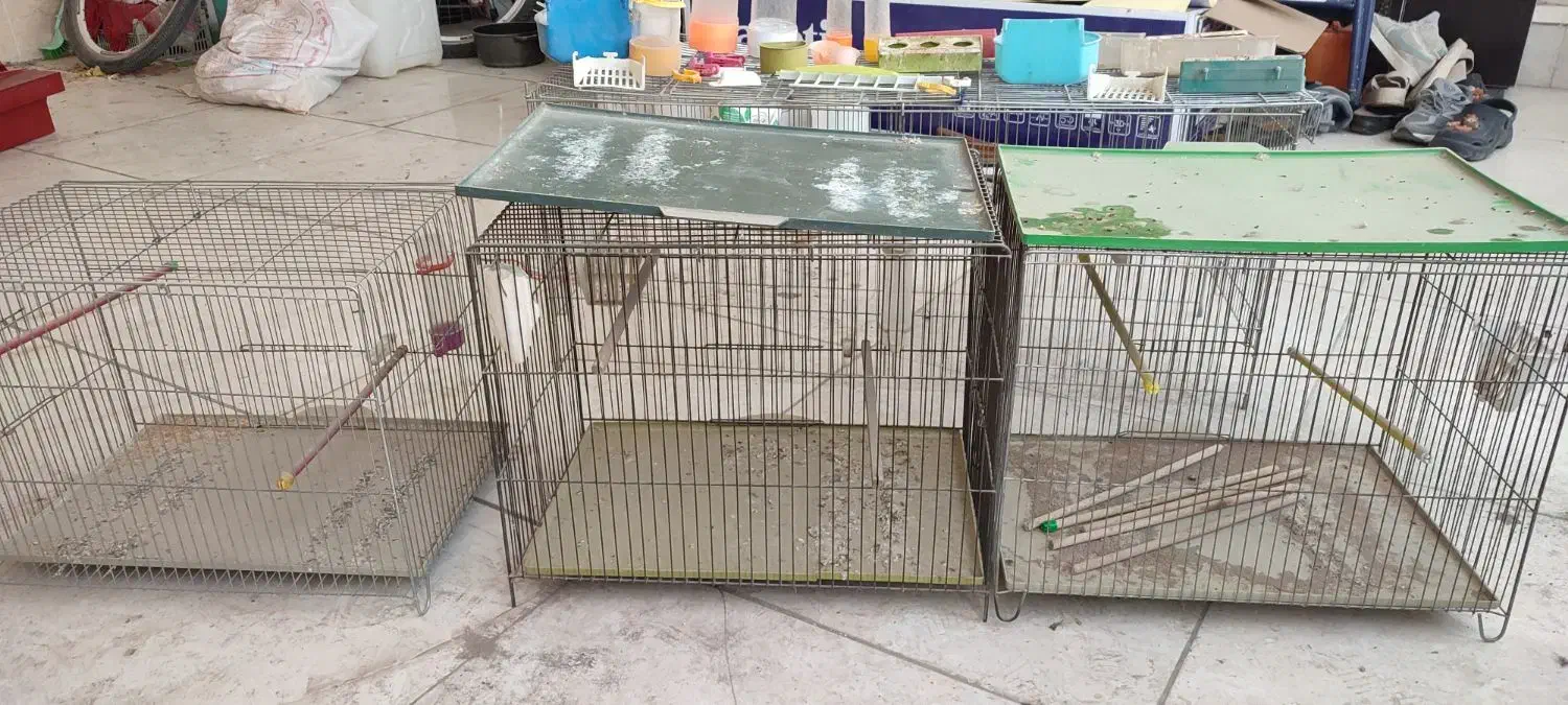 قفس پرنده|لوازم جانبی حیوانات|حمیدیا, |دیوار