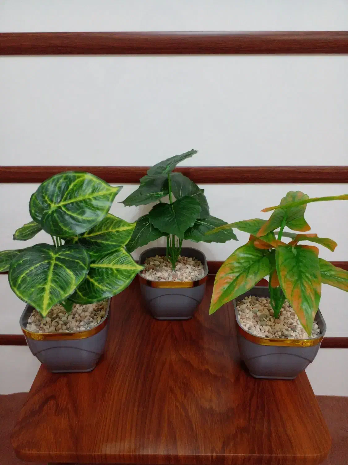 گل مصنوعی، گلدان، تزیینی، گیاه باکسی|گل مصنوعی|تهران, اسفندیاری|دیوار