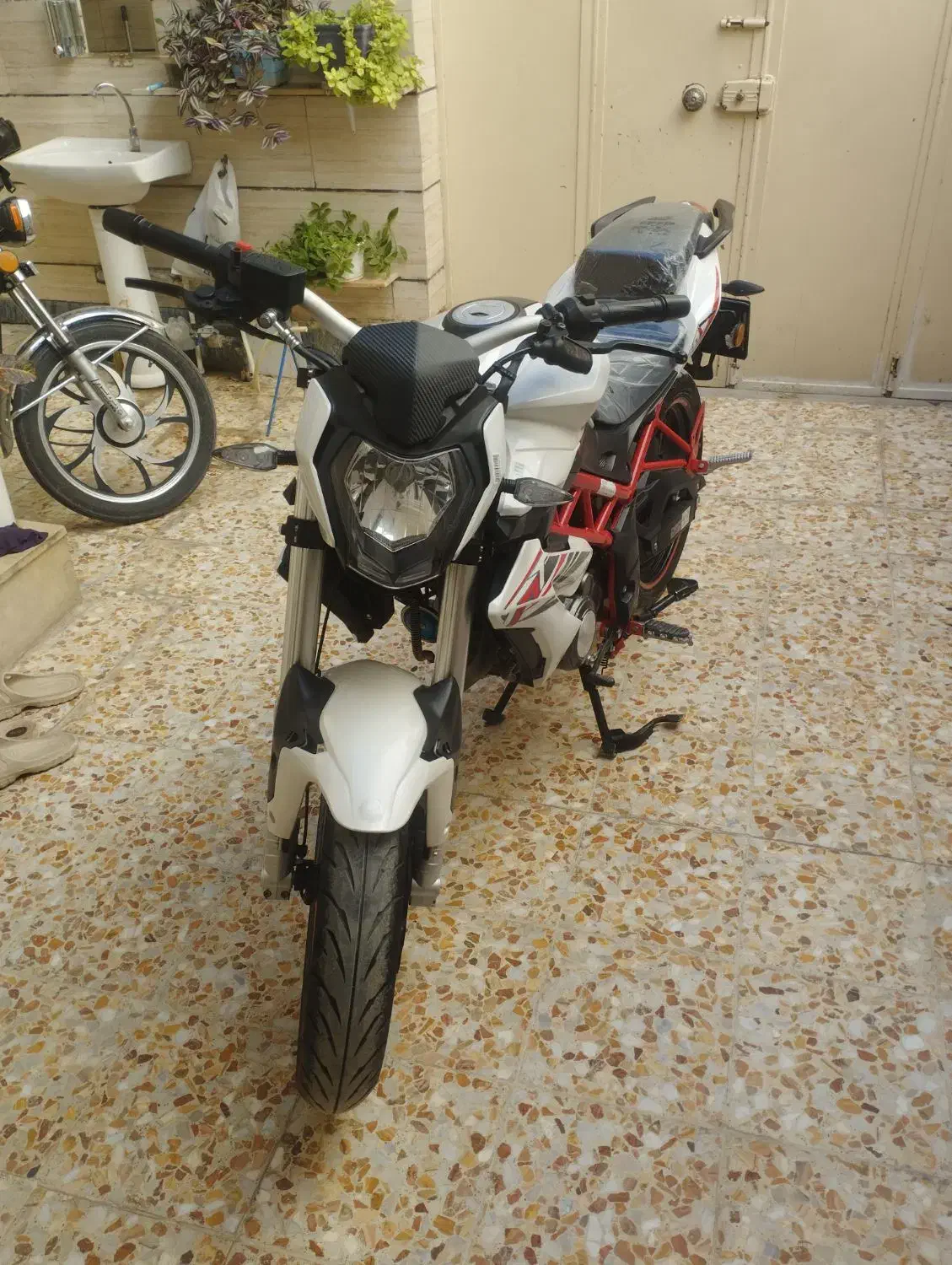 متور بنلی در حد 1403|موتورسیکلت|خرمآباد, |دیوار