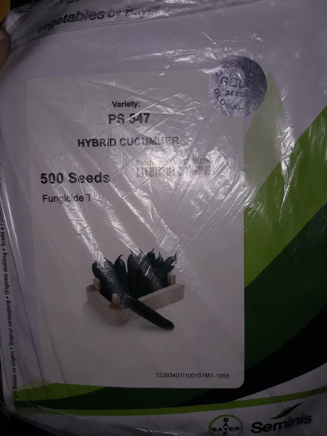 بذر خیار گلخانه ای|گل و گیاه طبیعی|کهنوج, |دیوار