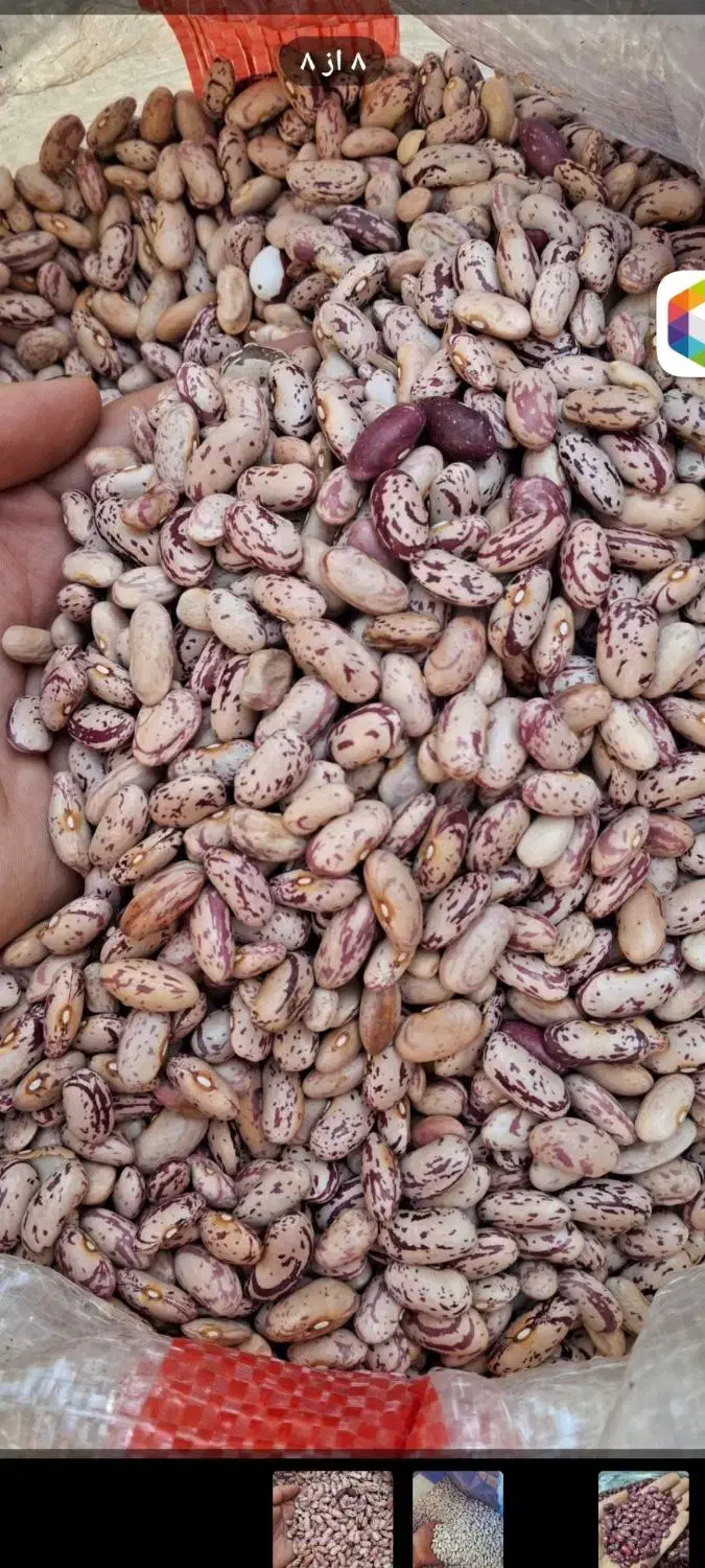 ارزان سرای ،پخش حبوبات|خوردنی و آشامیدنی|تهران, حسن‌آباد|دیوار