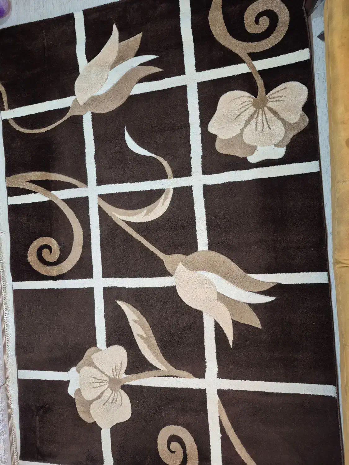 گلیم فرش ۶ متری|گلیم، جاجیم، گبه|بندرعباس, |دیوار