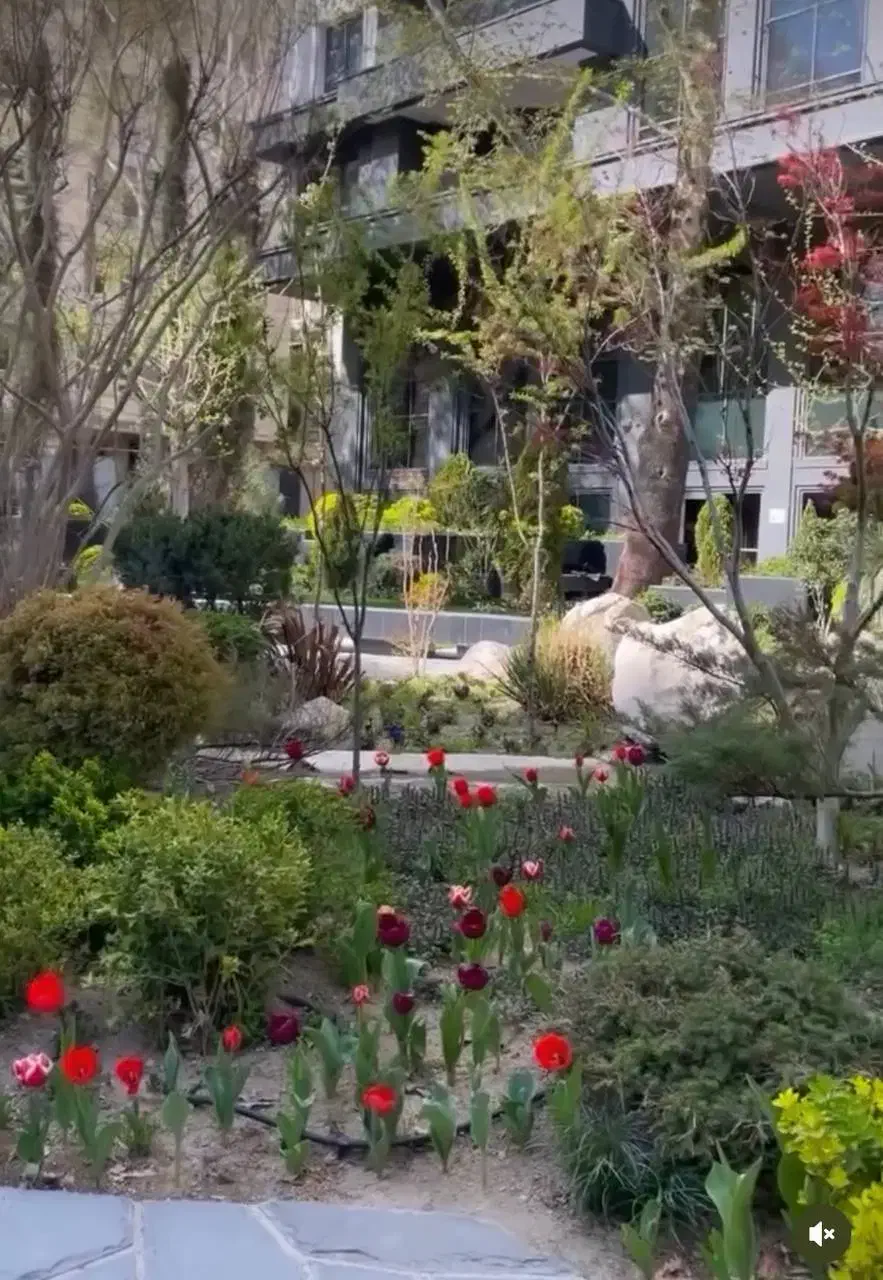 باغ فردوس ۲۵۰متر بر ۱۰جنوبی ۱۲۵میلیارد فروش|فروش زمین و ملک کلنگی|تهران, الهیه|دیوار