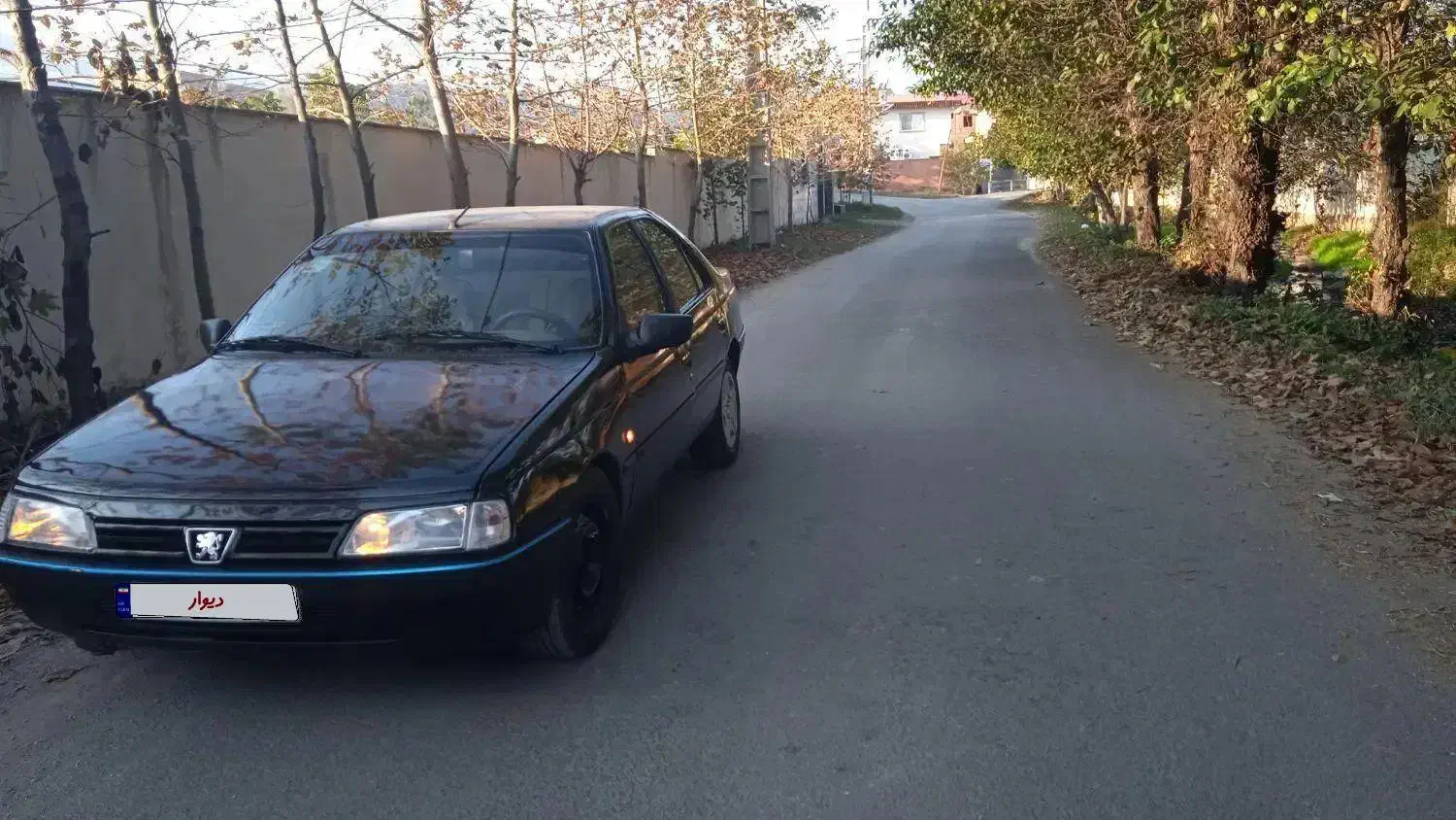 پژو|خودرو سواری و وانت|نوشهر, |دیوار