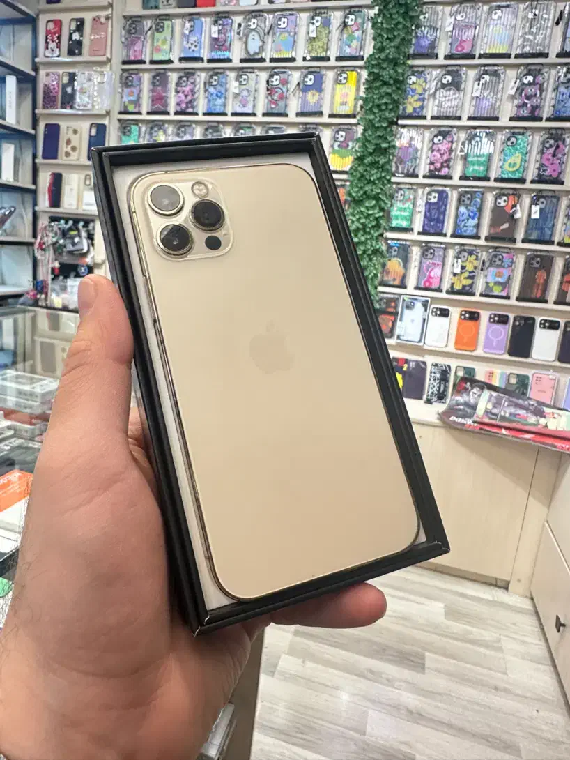 آیفون ۱۲ پرو ۲۵۶ گیگ پک اصلی|موبایل|تهران, باغ فیض|دیوار