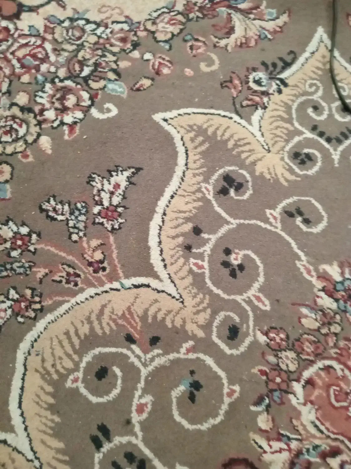 فرش|فرش|کوچصفهان, |دیوار