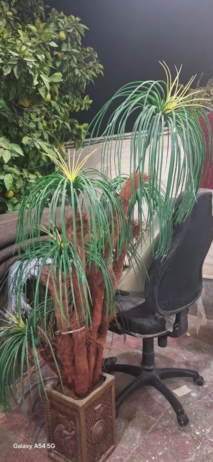 گل نخل بزرگ|گل مصنوعی|شیراز, شهرک مدرس|دیوار