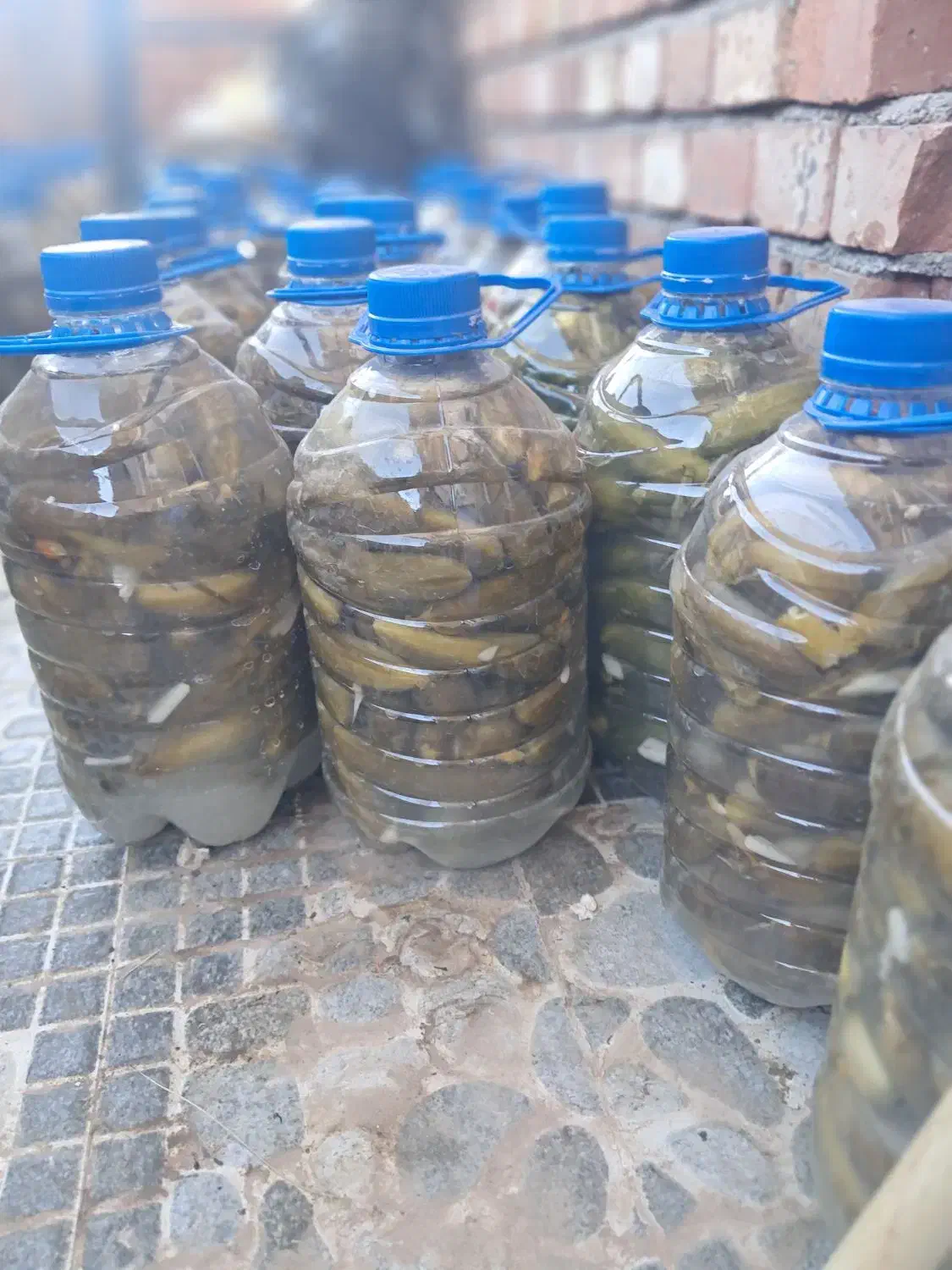 فروش خیارشور ترد وخوشمزه تازه|خوردنی و آشامیدنی|بانه, |دیوار