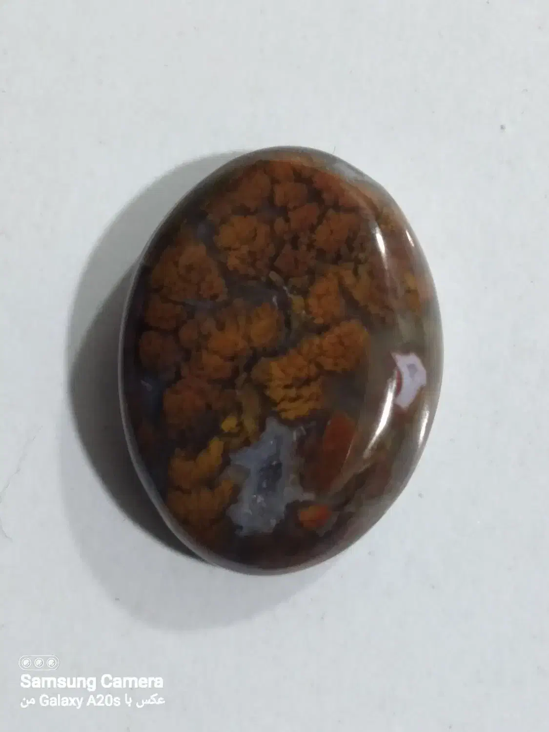 شجر پایزه|جواهرات|قائن, |دیوار