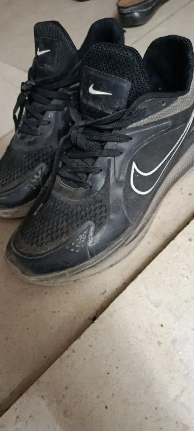 کفش‌نایک|کیف، کفش، کمربند|قم, شاه سید علی|دیوار